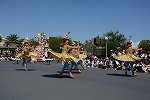 Dcim15115/DSC_5910