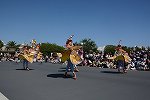 Dcim15115/DSC_5914