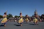 Dcim15115/DSC_5915