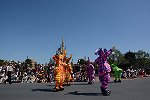 Dcim15115/DSC_5943