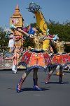 Dcim15116/DSC_6011