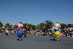 Dcim15116/DSC_6047