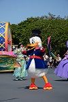 Dcim15116/DSC_6054