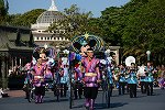 Dcim15116/DSC_6110