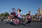 Dcim15117/DSC_6176