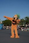 Dcim15117/DSC_6207