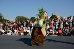 Dcim15117/DSC_6230