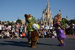 Dcim15117/DSC_6231