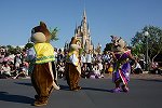 Dcim15117/DSC_6233