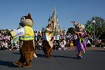 Dcim15117/DSC_6234