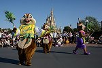Dcim15117/DSC_6236