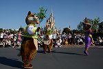 Dcim15117/DSC_6238