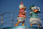 Dcim15117/DSC_6243