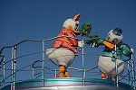 Dcim15117/DSC_6251