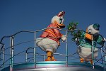 Dcim15117/DSC_6252