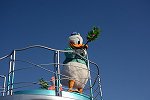 Dcim15117/DSC_6264