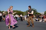 Dcim15117/DSC_6287