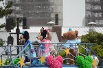 DSC_7849