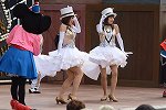 DSC_8000