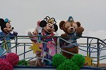 DSC_8577