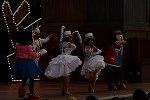 Dcim15152/DSC_0297