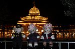 Dcim15155/DSC_3134
