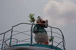 Dcim15157/DSC_0689