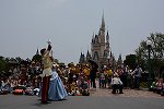 Dcim15157/DSC_0707