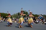 Dcim15159/DSC_1000