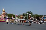 Dcim15159/DSC_1007
