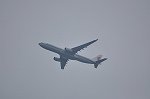 Dcim15194/DSC_3894