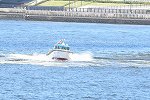 Dcim15281/DSC_8101