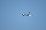 Dcim15282/DSC_8226