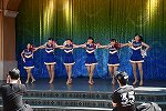 Dcim15288/DSC_8422