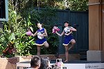 Dcim15288/DSC_8433