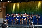 Dcim15289/DSC_8593