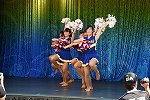 Dcim15295/DSC_9138