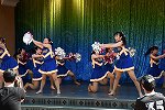 Dcim15295/DSC_9193