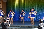 Dcim15298/DSC_9500