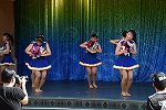 Dcim15299/DSC_9507