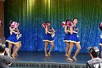 Dcim15299/DSC_9516