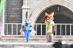 Dcim15306/DSC_0231