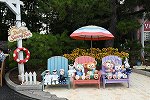 Dcim15337/DSC_3533