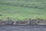 Dcim15347/DSC_4306