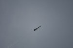 Dcim15361/DSC_5644