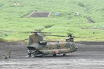 Dcim15374/DSC_6618