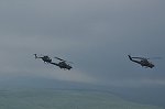 Dcim15388/DSC_6150