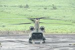 Dcim15403/DSC_9488