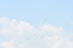 Dcim15403/DSC_9528