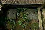 Dcim15430/DSC_1642